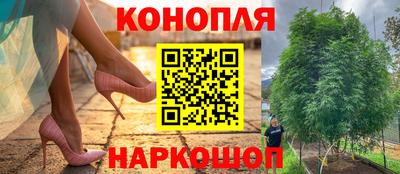 скорость Новодвинск