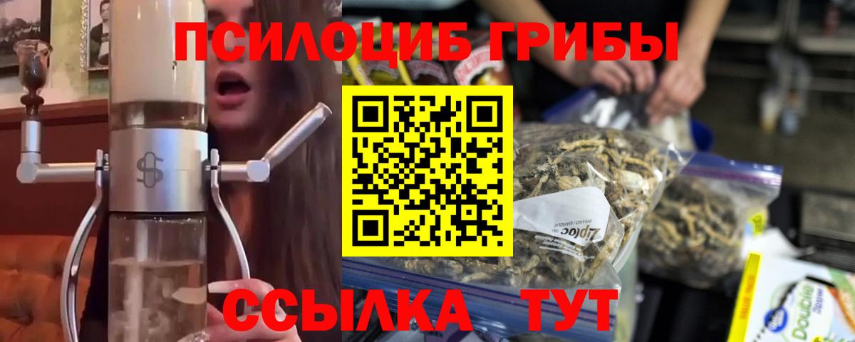 сколько стоит  Вход с VPN  Фрязино  Псилоцибиновые грибы Magic Shrooms 