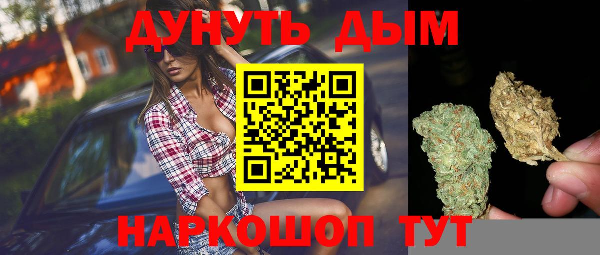 Бошки Шишки гибрид Фрязино